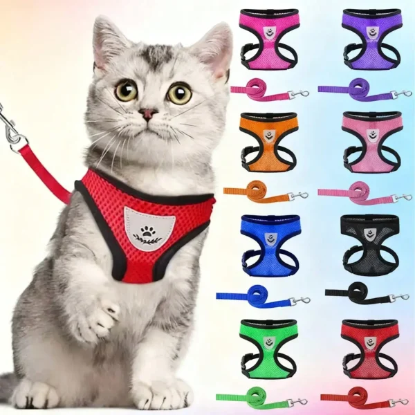 Pet Vest Harness & Leash Set,